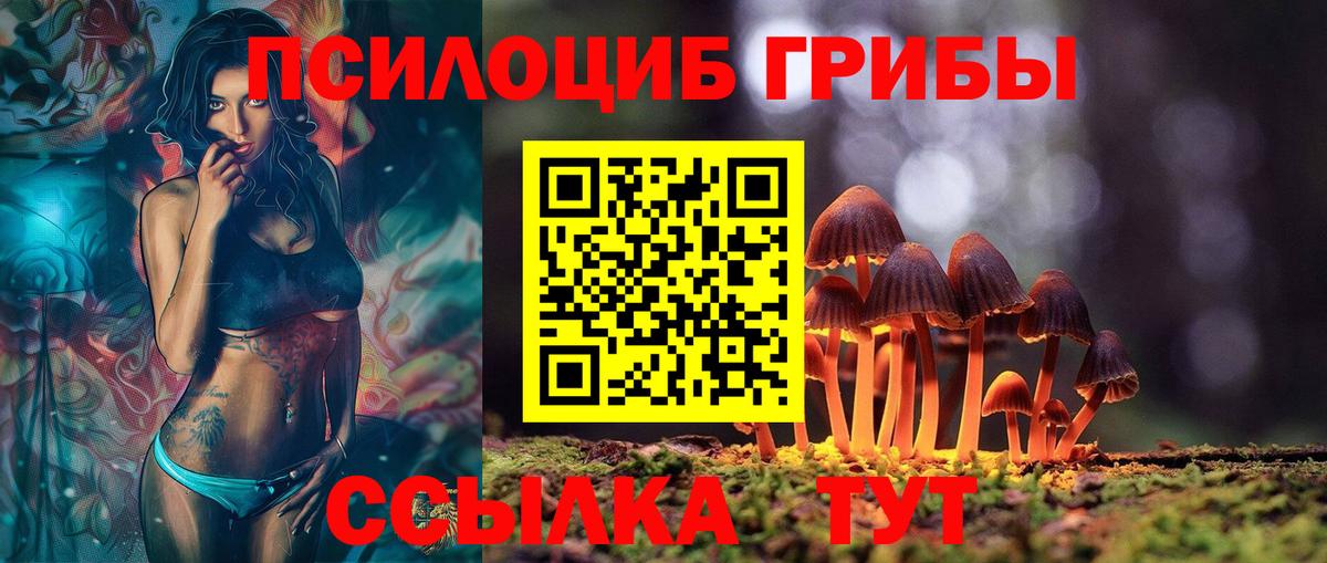 Псилоцибиновые грибы прущие грибы Луга