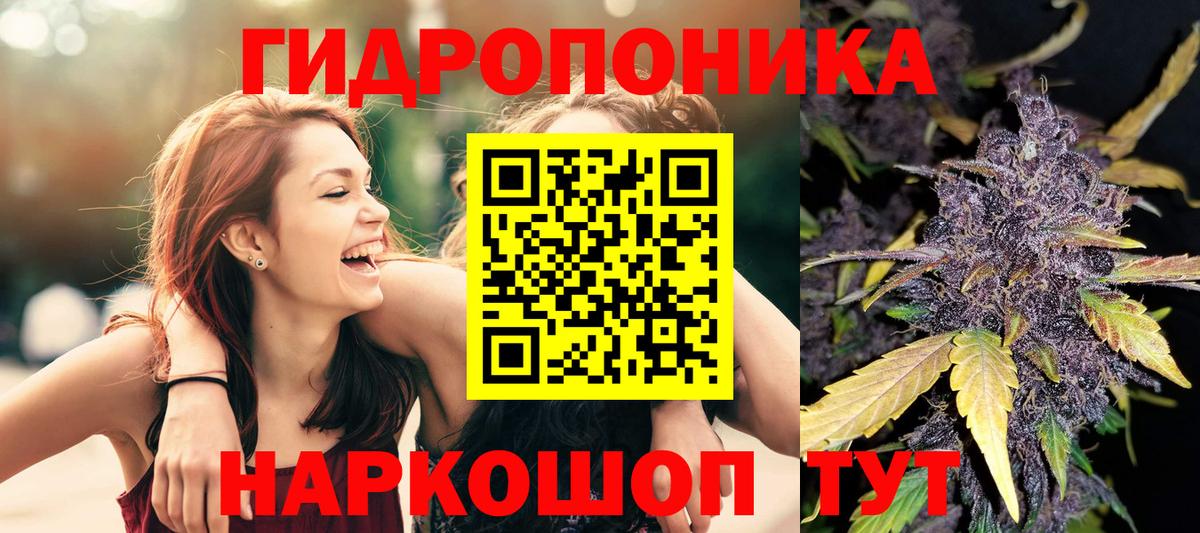 Канабис семена Луга